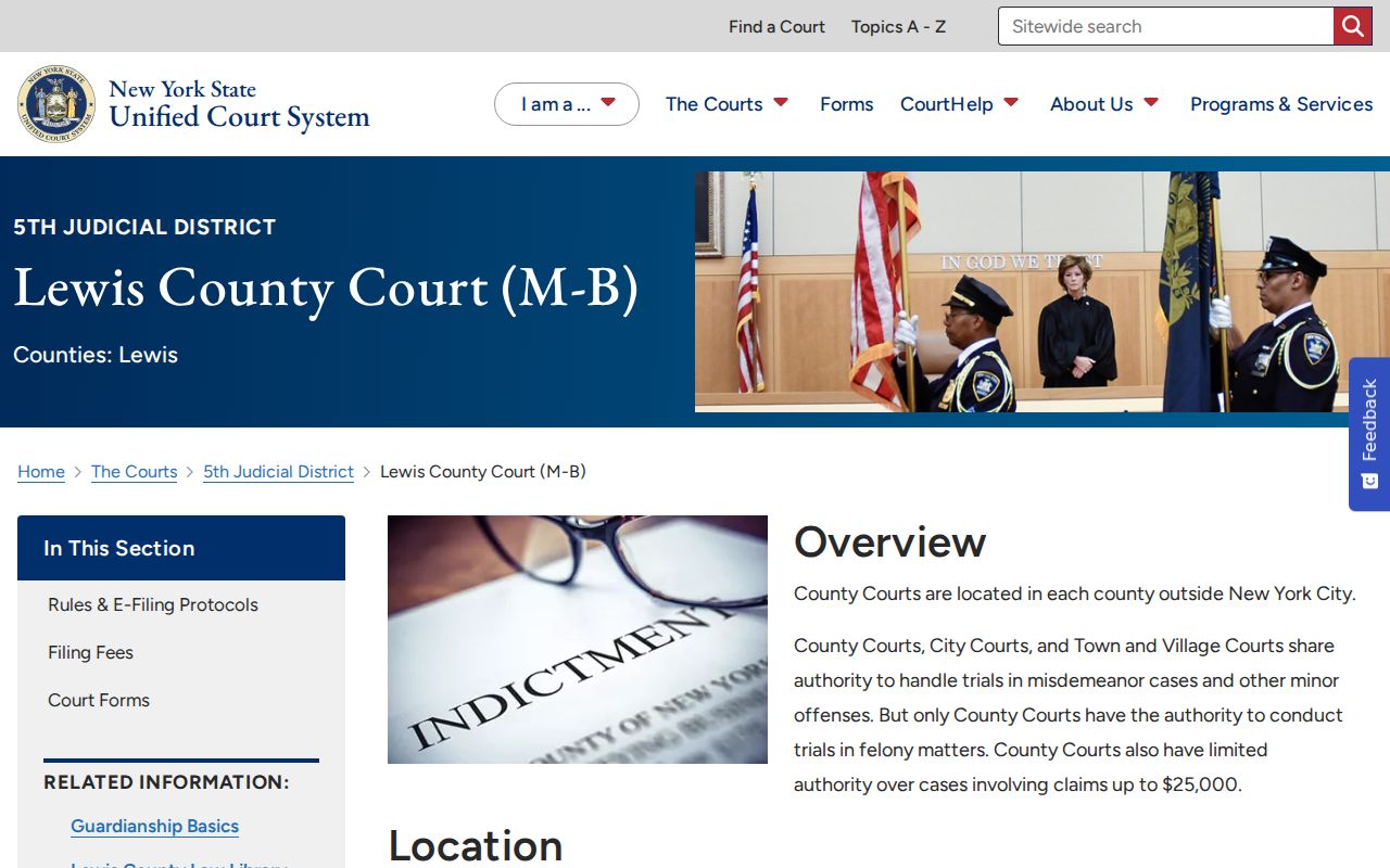 Lewis County criminal court case information for County Court